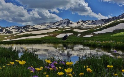 BUTİK HAKKARİ TURU YÜKSEKOVA-ŞEMDİNLİ -HAKKARİ
